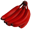 redbananas2.gif